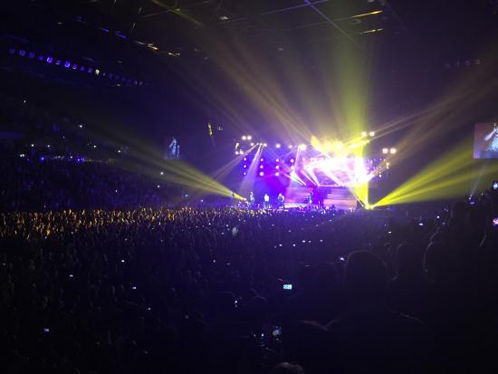 Vector Arena